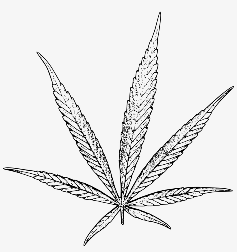 Download Png - Cannabis Extracts & Cbd: Bundle, transparent png download
