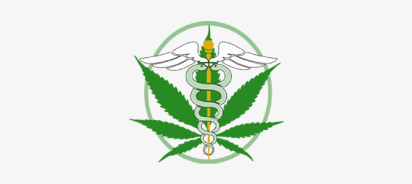 Factores De Riesgo Y Proteccion Del Consumo De Cannabis, transparent png download