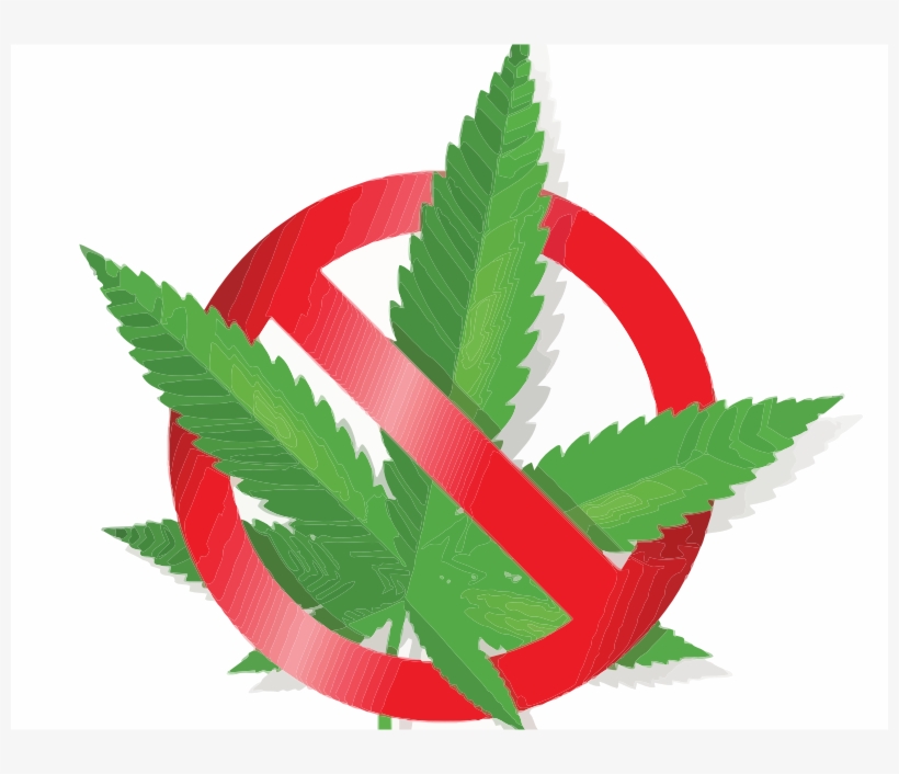 Medium Image - No Marijuana, transparent png download