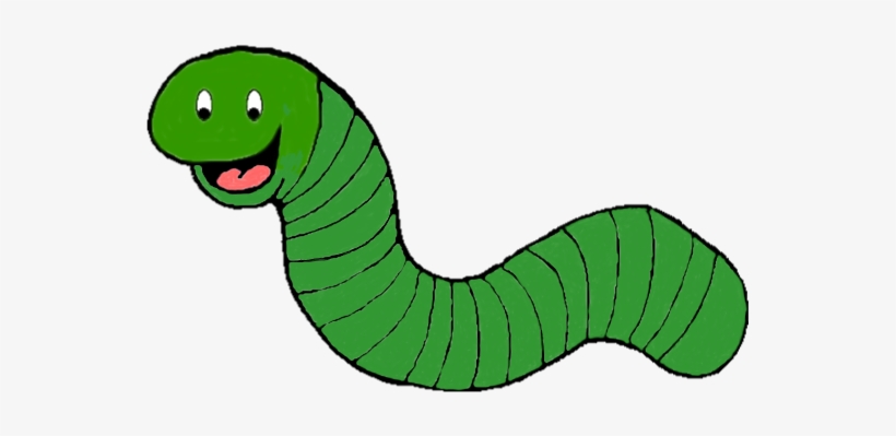 Worm, transparent png download