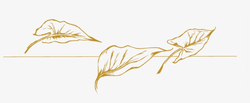 Jade-goldleaf - Illustration, transparent png download