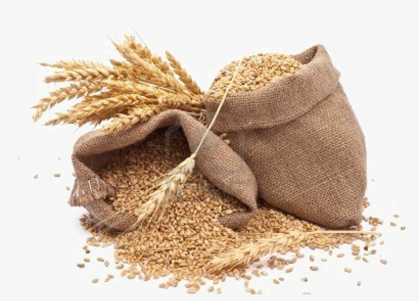 Grain Png Photos - Evaluation Of Loss Assessment Methods Of Stored Wheat, transparent png download