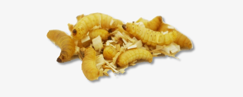 Online Shopping, transparent png download