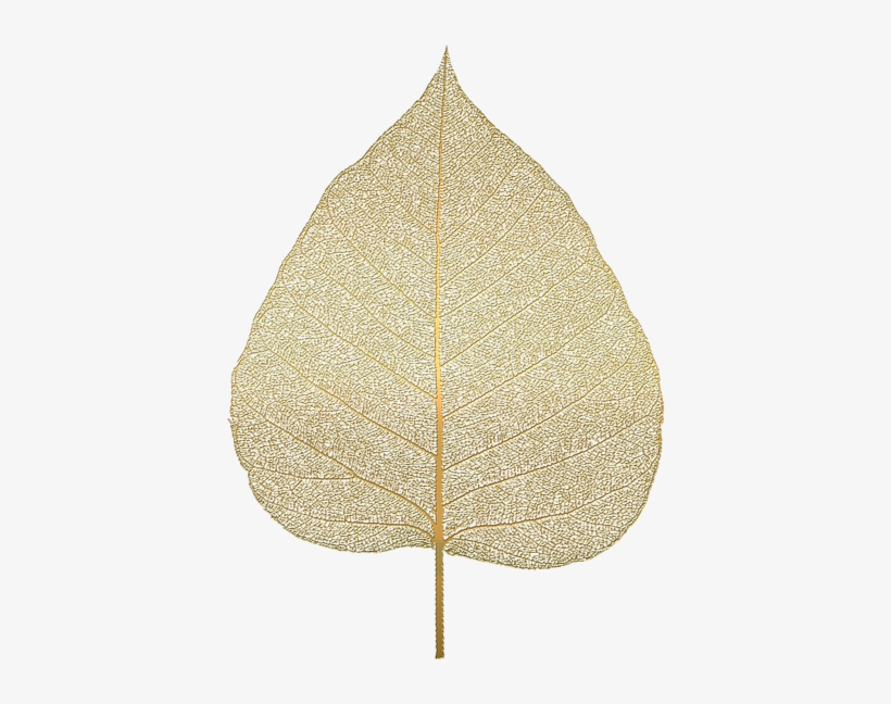 Bleed Area May Not Be Visible - Transparent Leaf Skeleton Png, transparent png download