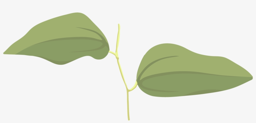 Umbrella, transparent png download