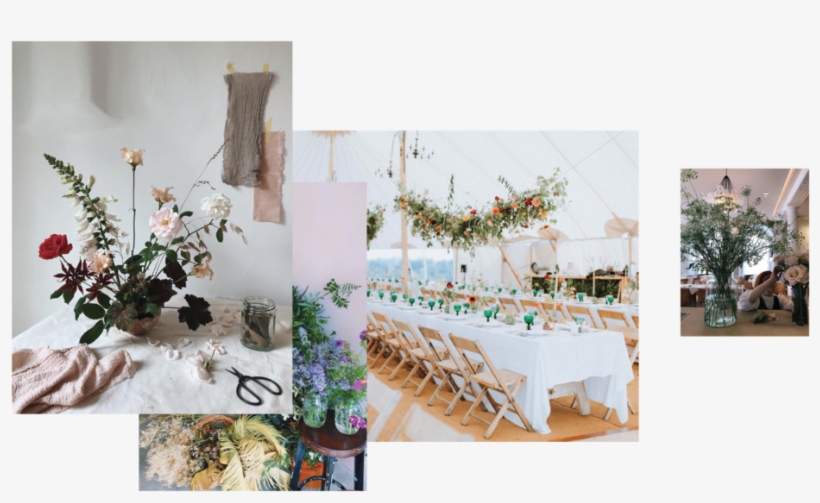 Worm Web Occasions Header 09 09 09 09 - Portable Network Graphics, transparent png download