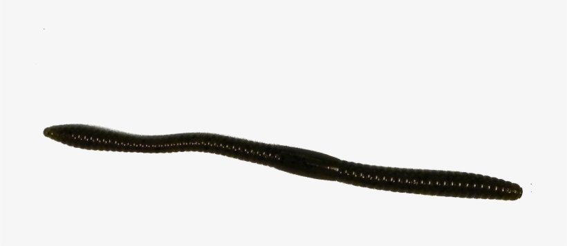 5" Magic Finesse Worm - Grass Snake, transparent png download