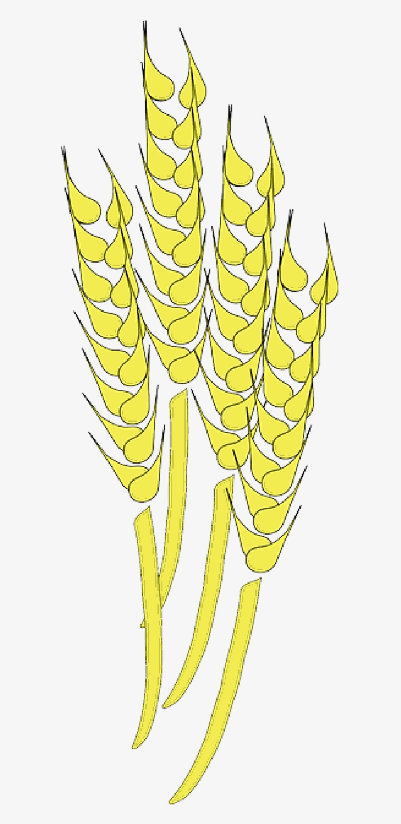 Mb Image/png - Wheat Clip Art, transparent png download