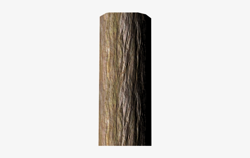 Tree Bark Textures - Bark, transparent png download