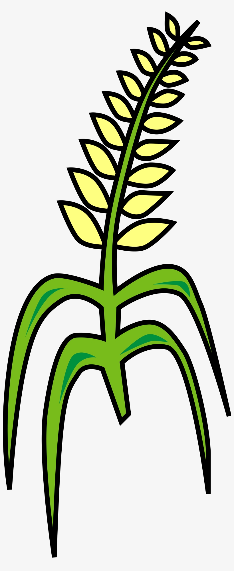 Open - Grain Clipart, transparent png download