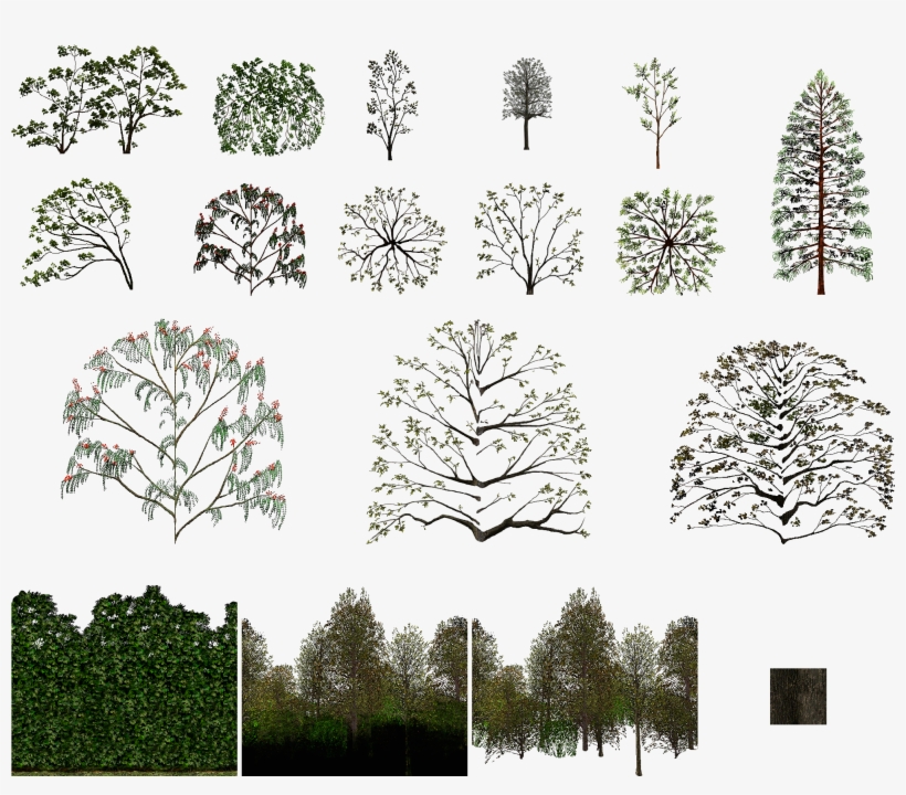 Click For Full Sized Image Trees - Drawing, transparent png download