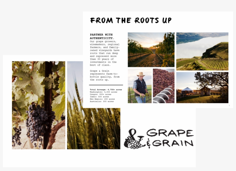 Grape & Grain - Portable Network Graphics, transparent png download