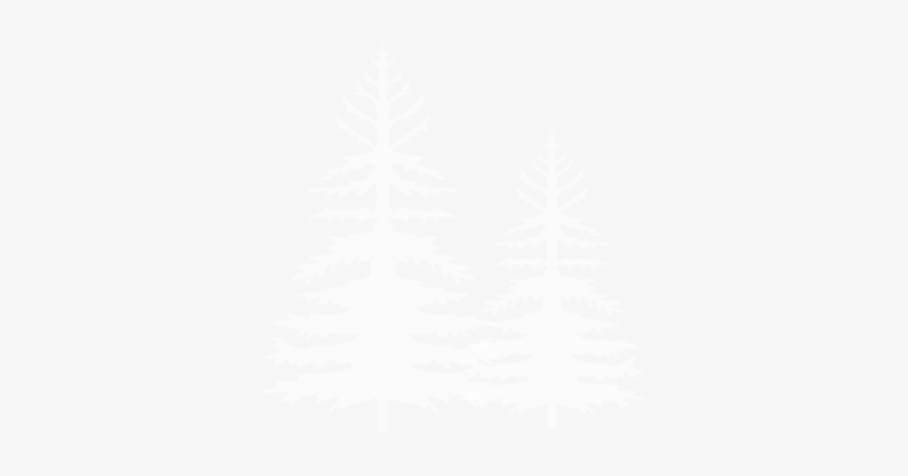 Snow Illustration - Christmas Tree, transparent png download