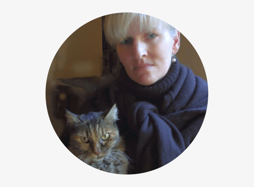 Donate - Cat, transparent png download