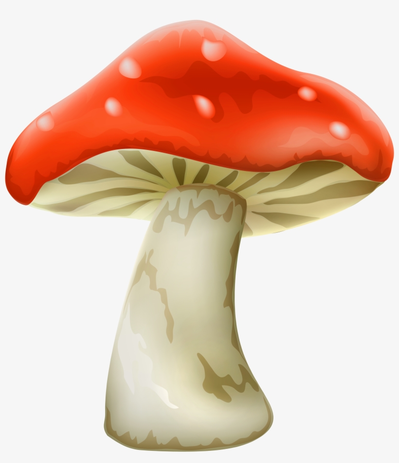 Free Png Red Mushroom With White Dots Png Images Transparent - Mushroom Png, transparent png download