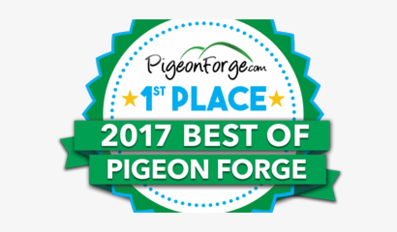 1st Place Plain Web, transparent png download