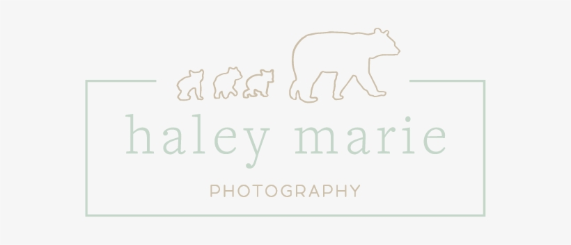 Come See Your Magic, transparent png download