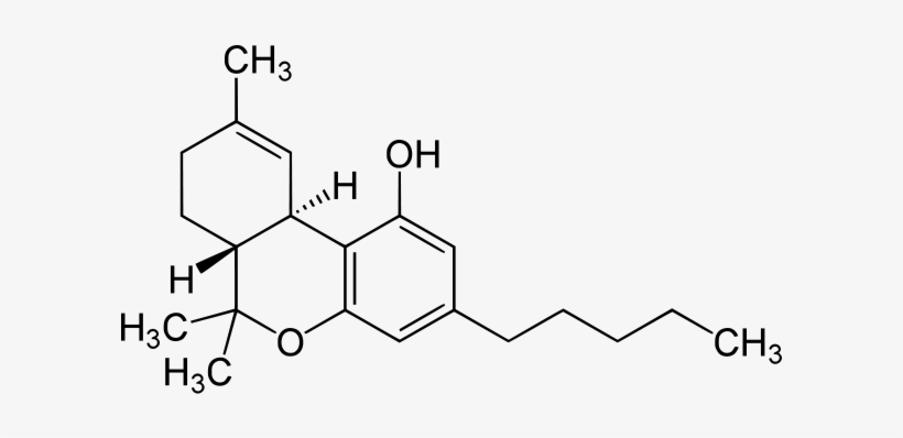 Thc Molecule - New York City, transparent png download