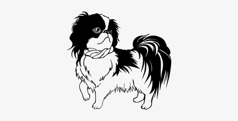 Animal Canine Dog Japanese Chin Pet Dog Do - Shih Tzu Line Art, transparent png download