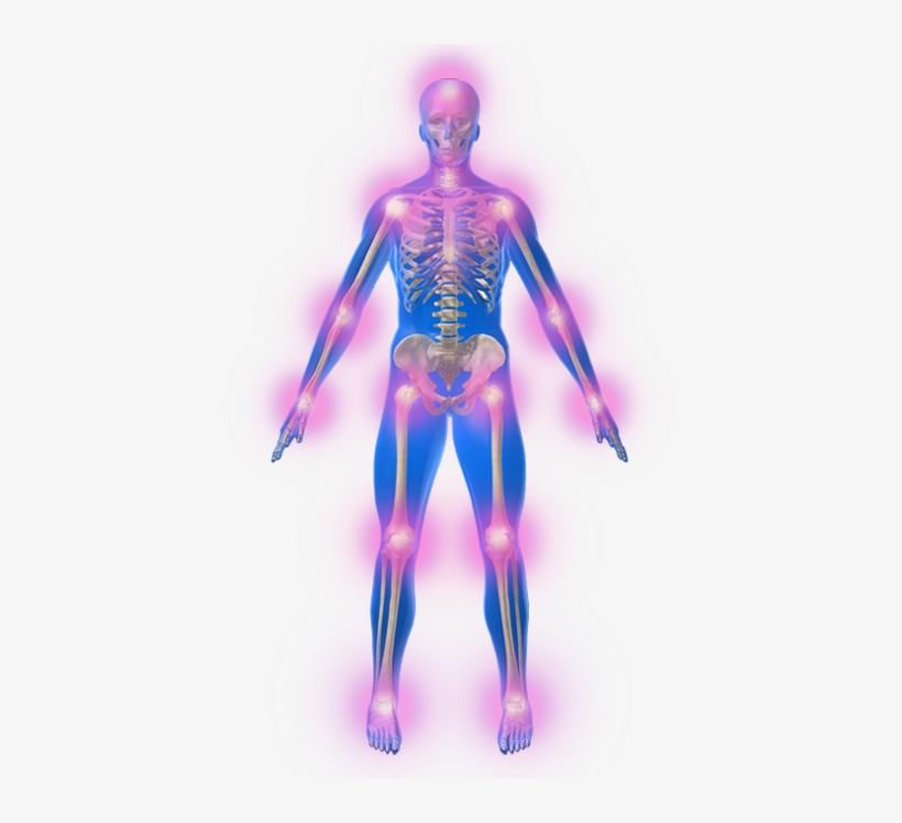 Coastal Spine - Head To Toe Pain, transparent png download