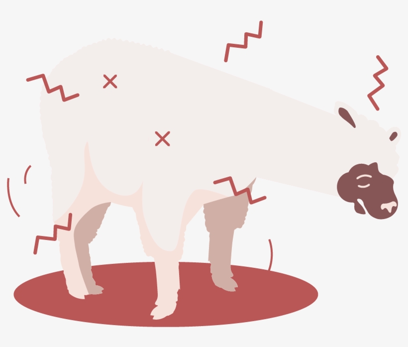 Pain, transparent png download