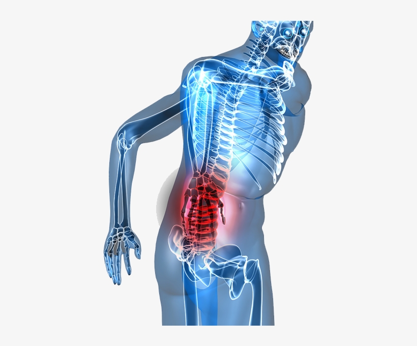 At Luke Chiropractic & Sports Injury We Offer Chiropractic - Low Back Pain Png, transparent png download