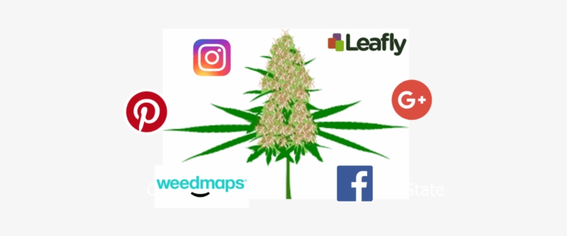 Cannabis Smm Consultant - Social Media Marketing, transparent png download