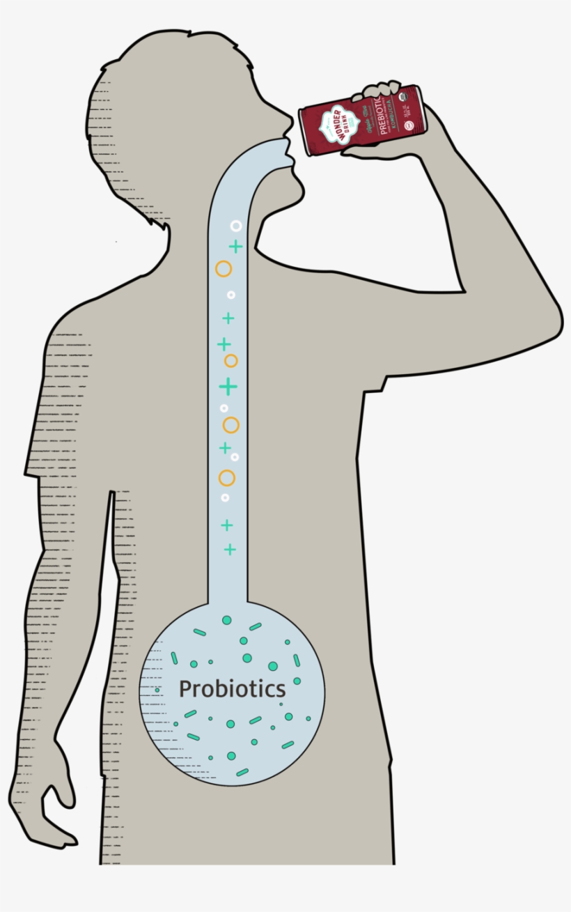 Man Drinking Can V2 Ce - Man, transparent png download