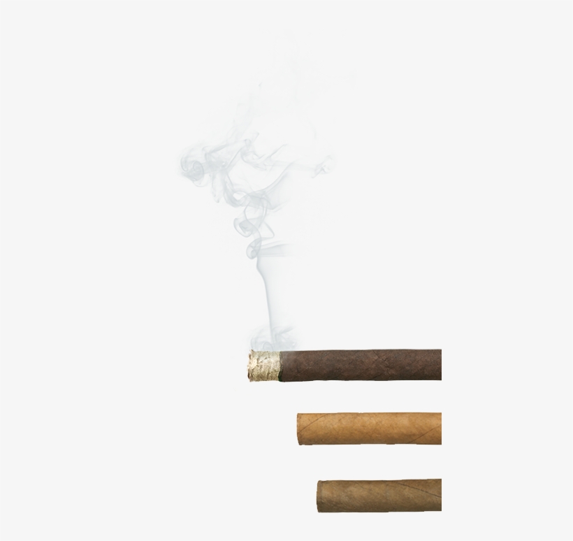 Master Blender Agio Cigars - Sketch, transparent png download