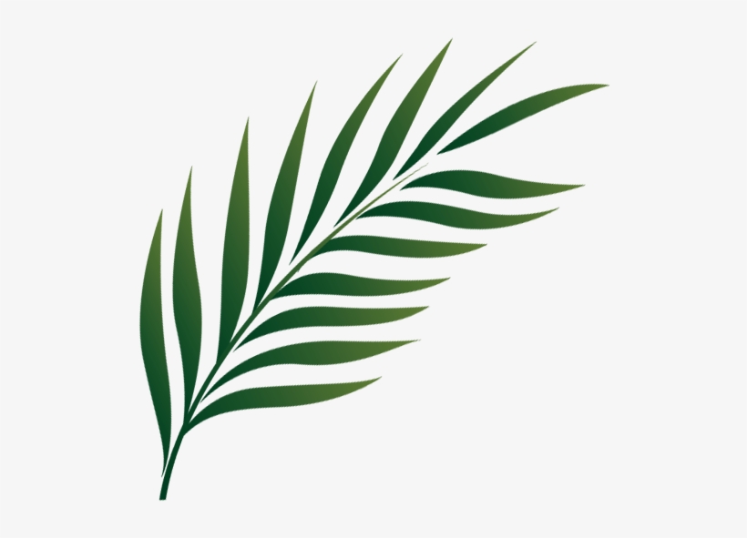 Palm Sunday Icon Png Transparent PNG - 575x575 - Free Download on NicePNG