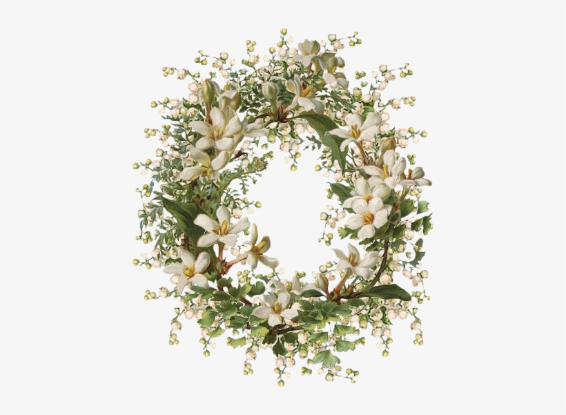 I - B - Pic - Centerblog - Net/8773c096 - Giclee Painting: Illustration Of Honeysuckle Border,, transparent png download