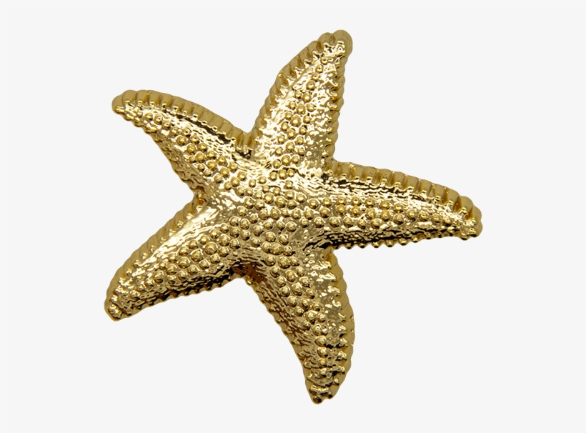 Starfish Pin, Gold Shine - Starfish, transparent png download