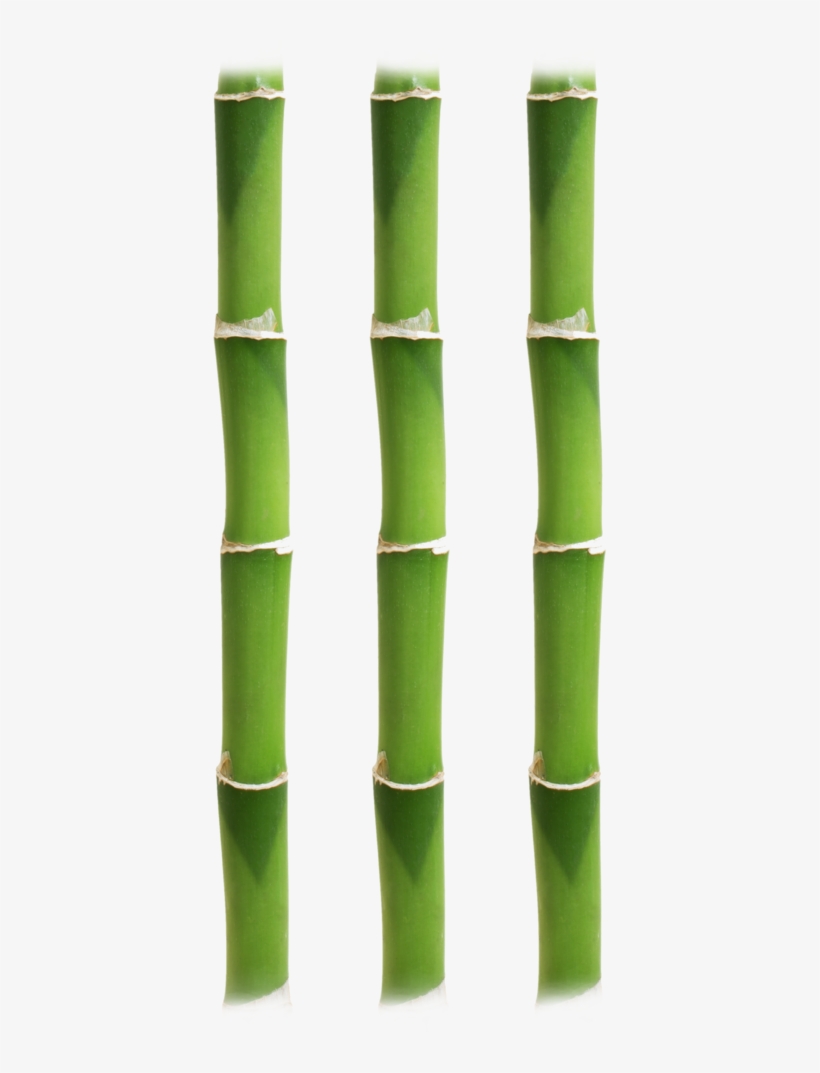 Bamboo Stick6 - Bamboo, transparent png download