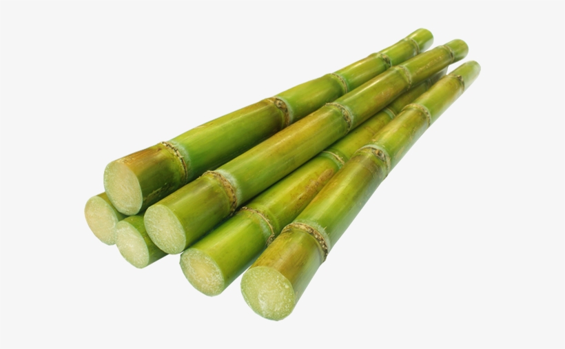 Learn More About Msugar - Major Crops Of Pakistan, transparent png download