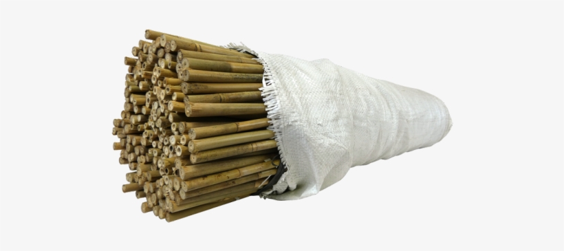 Umbrella, transparent png download