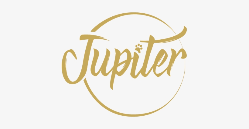 Logo - Wedding, transparent png download