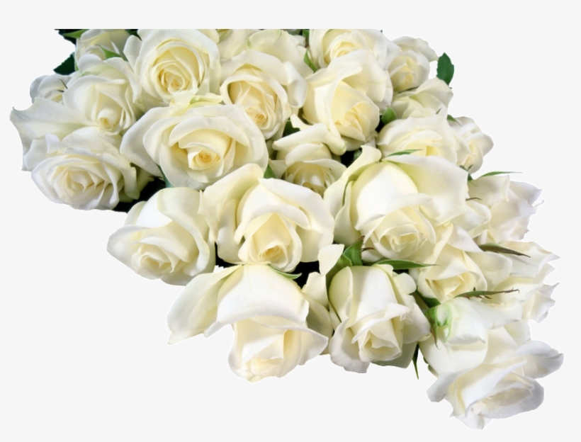 Изображение Для Плейкаста - White Roses Flower Png, transparent png download