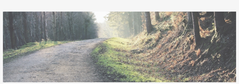 Home Loans Geneva Fi Banner Path Dirt Road Through, transparent png download