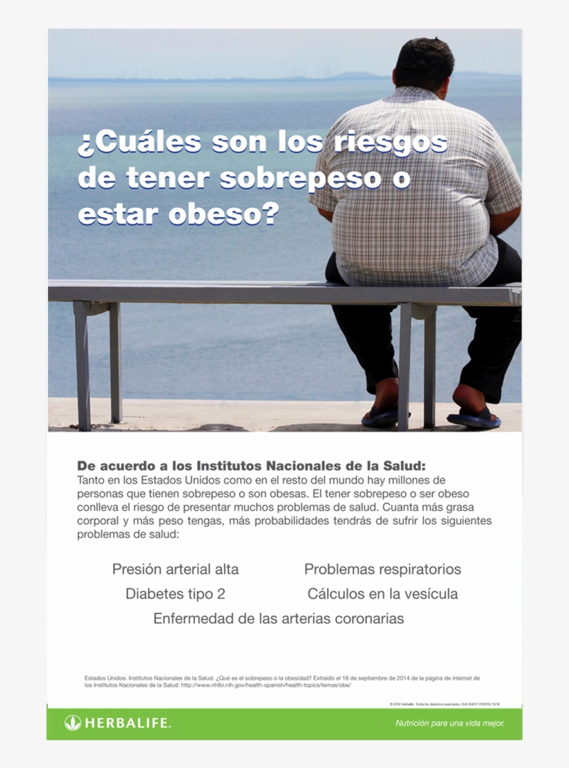 Los Riesgos Del Sobrepeso Poster - Fat People In Dubai, transparent png download