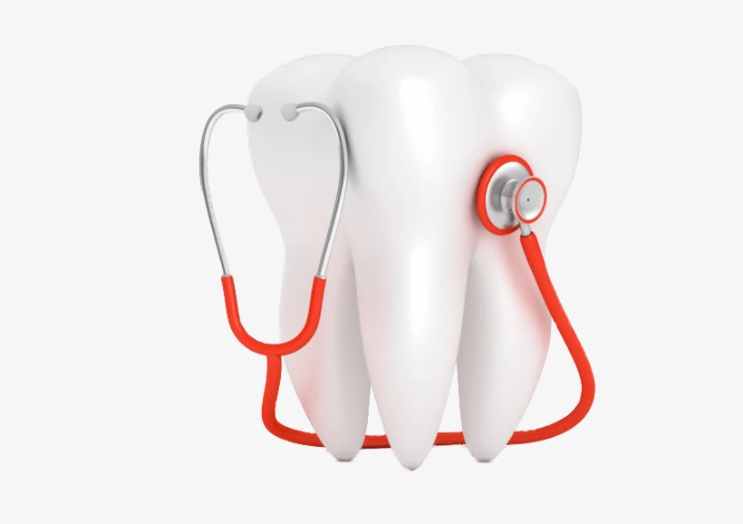 Vector Diente Con Estetoscopio Rojo - Tooth, transparent png download
