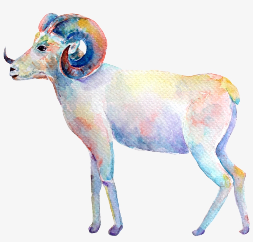 Aries New Moon - Zazzle Aquarell-widder-ram Iphone 8/7 Hülle, transparent png download