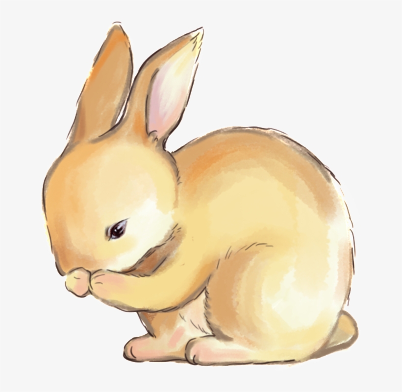 Hand Drawn Rabbit Png - Rabbit, transparent png download