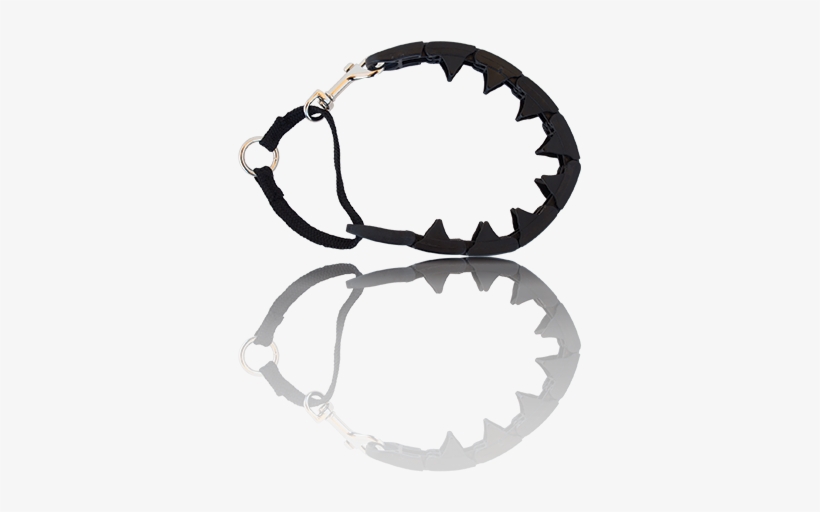 Pro-training Collar<span>®</span> - Starmark Collar, transparent png download