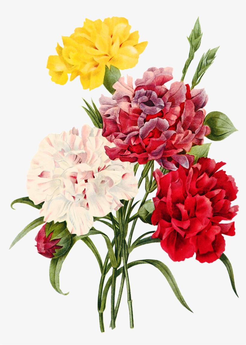 Bouquet De Rosas, transparent png download
