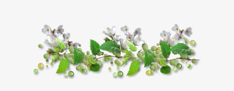 Flores Y La Naturaleza Lineas - سكرابز اغصان شجر, transparent png download