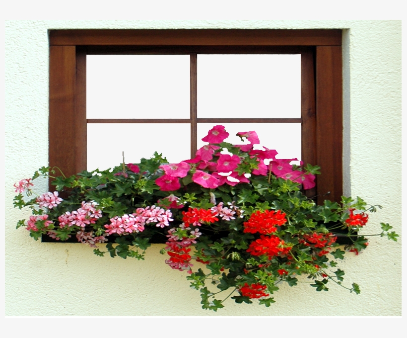 Marcos Photoscape Ventana Con Flores - Petunia, transparent png download