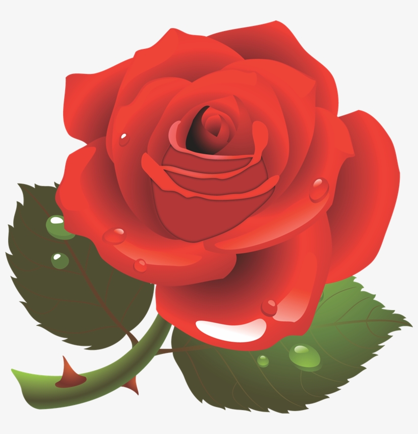 Gifs Im193genes De Rosas - Personne Spéciale, transparent png download