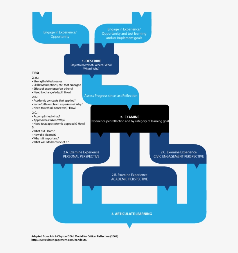 Deal Model Diagram - Deal Model For Critical Reflection, transparent png download