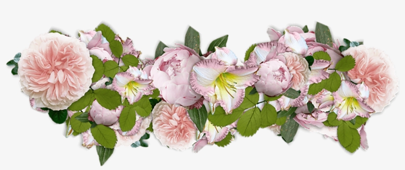 Pink Flowers Presentation Png - Best 365 Days Inspiration Quotes: Daily Motivation, transparent png download