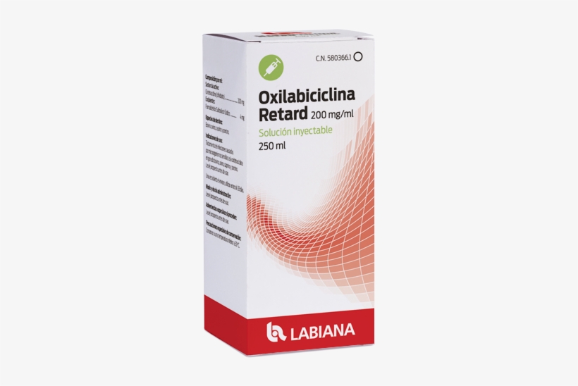 Elasa, transparent png download